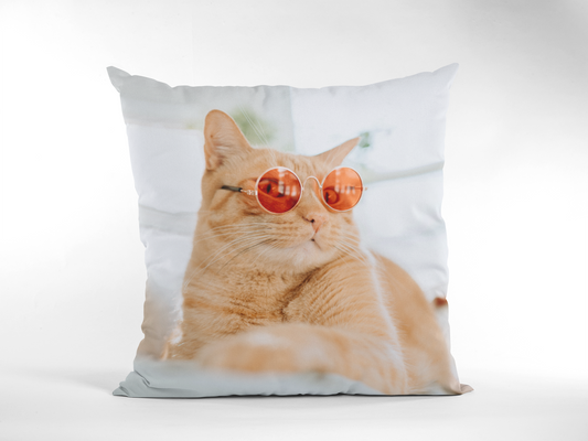 Bailey Cat Throw Pillow Case