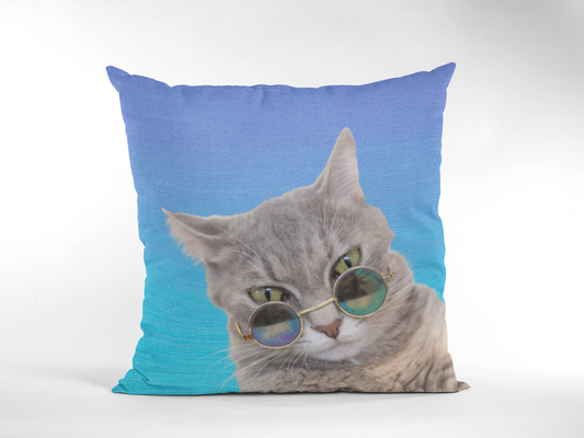 Finn Cat Throw Pillow Case - Blue