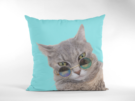 Finn Cat Throw Pillow Case - Teal