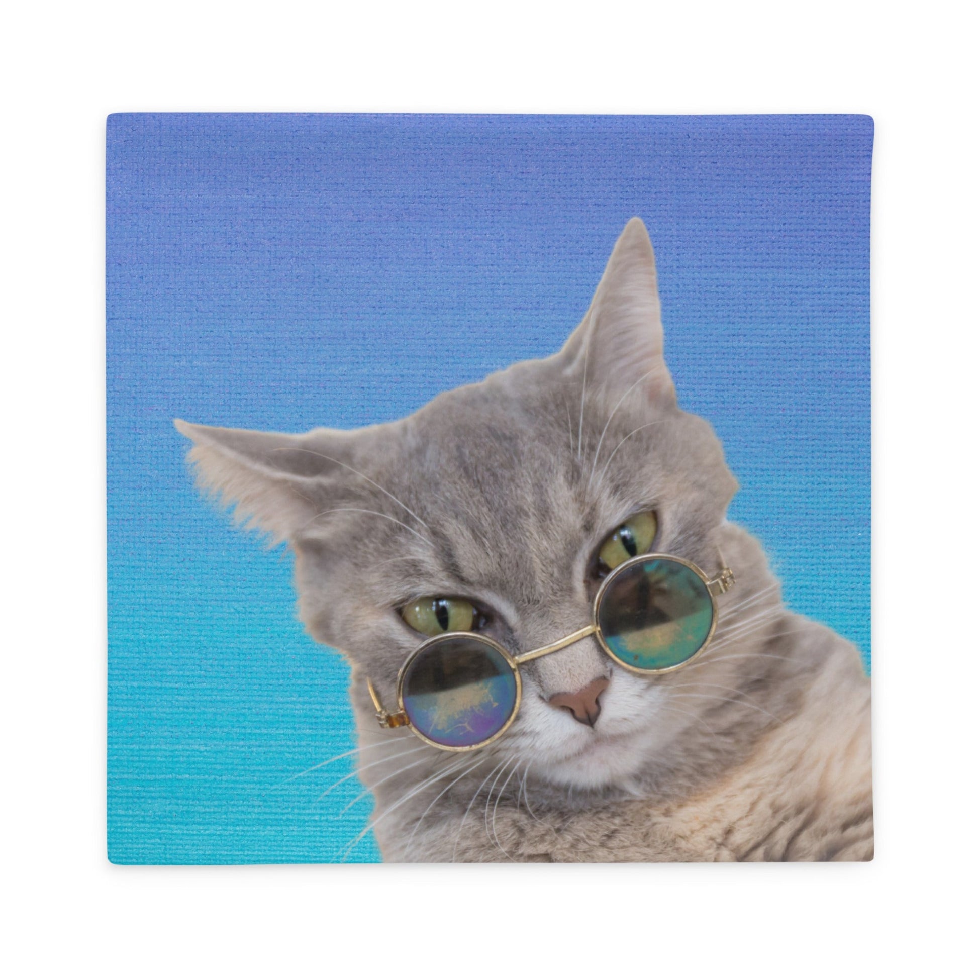 Finn Cat Throw Pillow Case - Blue