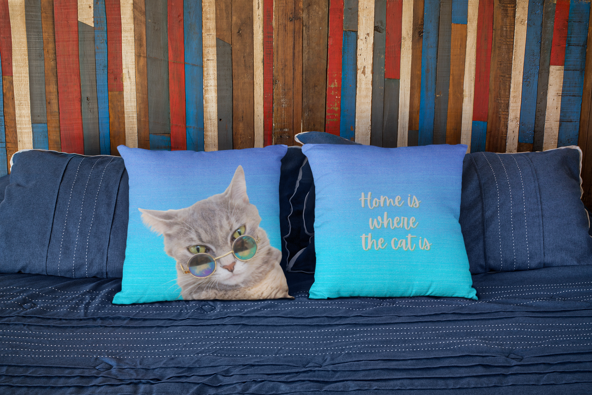 Finn Cat Throw Pillow Case - Blue